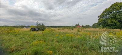 Działka na sprzedaż, Goleniów Białuń, 3113 m² — MNI21970, zdjęcie 5