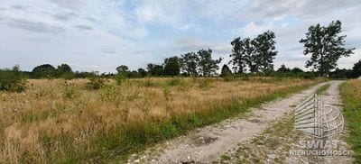 Działka na sprzedaż, Goleniów Białuń, 3113 m² — MNI21970, zdjęcie 6