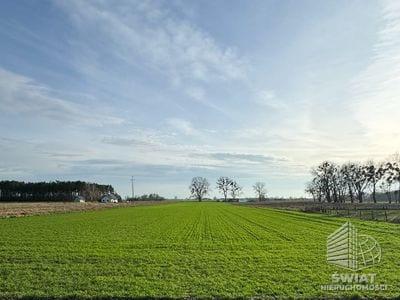 Działka na sprzedaż, Goleniów Borzysławiec, 10100 m² — MAR22173, zdjęcie 2