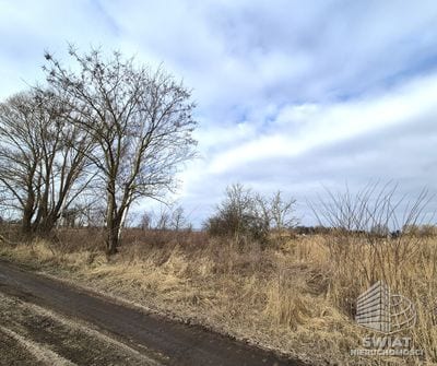 Działka na sprzedaż, Goleniów Czarna Łąka, 753 m² — CIT25289, zdjęcie 3
