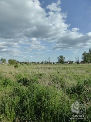 Działka na sprzedaż, Goleniów Czarna Łąka, 3034 m² — GAN21477, zdjęcie 2