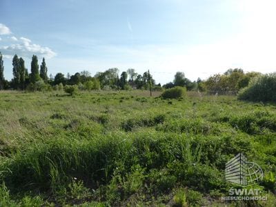 Działka na sprzedaż, Goleniów Czarna Łąka, 3034 m² — GAN21477, zdjęcie 4