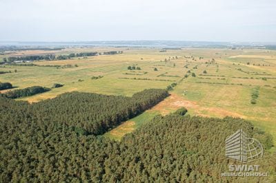 Działka na sprzedaż, Goleniów Komarowo, 3167 m² — PTR22192, zdjęcie 2