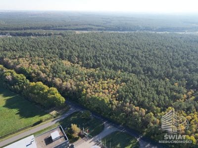 Działka na sprzedaż, Goleniów Łozienica, 5073 m² — WNF00294, zdjęcie 6