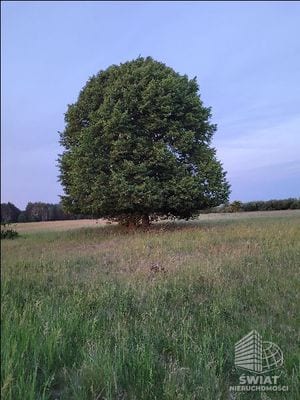 Działka na sprzedaż, Goleniów Lubczyna, 3293 m² — INB20414, zdjęcie 4