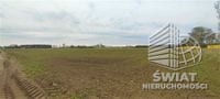 Działka na sprzedaż, Goleniów Lubczyna, 7387 m² — , zdjęcie 2