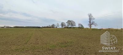Działka na sprzedaż, Goleniów Lubczyna, 7387 m² — MNI21904, zdjęcie 4