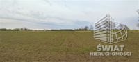 Działka na sprzedaż, Goleniów Lubczyna, 4258 m² — , zdjęcie 5