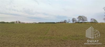 Działka na sprzedaż, Goleniów Lubczyna, 4258 m² — MNI21906, zdjęcie 5