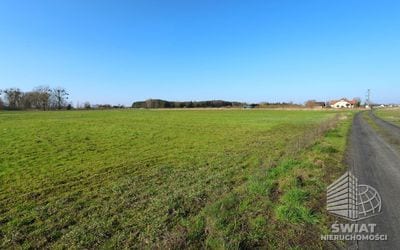 Działka na sprzedaż, Goleniów Lubczyna, 3978 m² — MNI21967, zdjęcie 4
