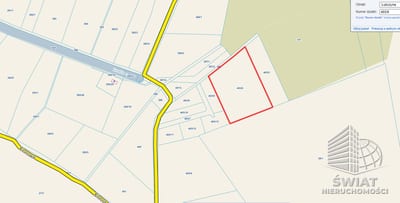 Działka na sprzedaż, Goleniów Lubczyna, 23200 m² — SWN30755, zdjęcie 1