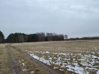 Działka na sprzedaż, Goleniów Lubczyna, 23200 m² — SWN30755, zdjęcie 2