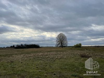 Działka na sprzedaż, Goleniów Lubczyna, 23200 m² — SWN30755, zdjęcie 3