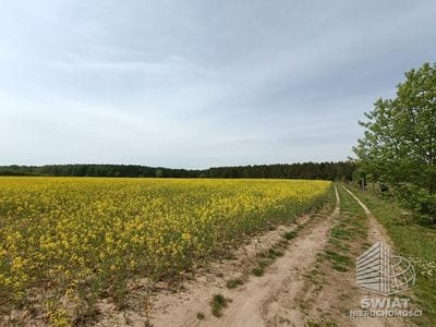 Działka na sprzedaż, Goleniów Stawno, 1304 m² — MNI21916, zdjęcie 1