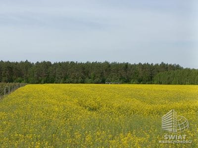 Działka na sprzedaż, Goleniów Stawno, 1304 m² — MNI21916, zdjęcie 5