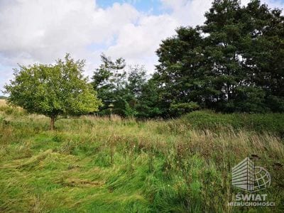 Działka na sprzedaż, Gryfice Świeszewo, 18458 m² — INW32678, zdjęcie 2