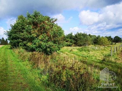 Działka na sprzedaż, Gryfice Świeszewo, 18458 m² — INW32678, zdjęcie 4