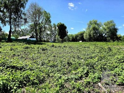 Działka na sprzedaż, Gryfino Chlebowo, 1331 m² — BUS20330, zdjęcie 4