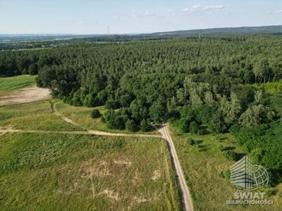 Działka na sprzedaż, Gryfino Daleszewo, 4053 m² — SWN32721, zdjęcie 2