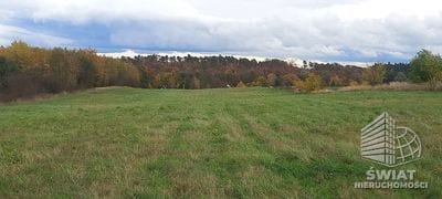 Działka na sprzedaż, Gryfino Steklno, 837 m² — MTN13446, zdjęcie 2