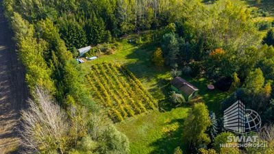 Działka na sprzedaż, Gryfino Wełtyń, 31596 m² — BON49743, zdjęcie 2