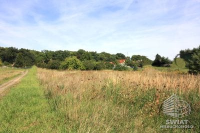 Działka na sprzedaż, Ińsko, 3196 m² — HES28195, zdjęcie 2