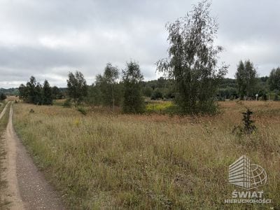 Działka na sprzedaż, Ińsko, 3000 m² — INW35237, zdjęcie 2
