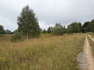 Działka na sprzedaż, Ińsko, 3000 m² — INW35237, zdjęcie 4