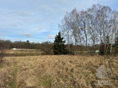 Działka na sprzedaż, Ińsko Storkowo, 3065 m² — MTN13006, zdjęcie 2