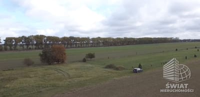 Działka na sprzedaż, Kamień Pomorski Chrząstowo, 3000 m² — DZI20121, zdjęcie 3