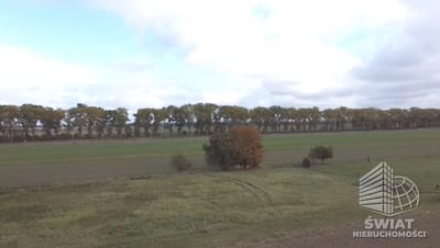 Działka na sprzedaż, Kamień Pomorski Chrząstowo, 3000 m² — DZI20121, zdjęcie 4