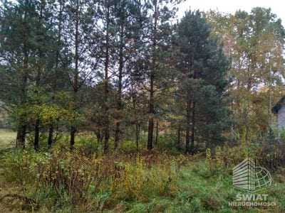 Działka na sprzedaż, Kamień Pomorski Grębowo, 3030 m² — GAL21111, zdjęcie 3