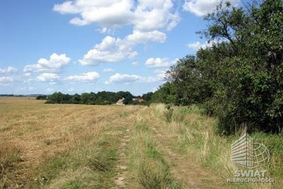 Działka na sprzedaż, Kołbaskowo Barnisław, 12400 m² — FKT24985, zdjęcie 2