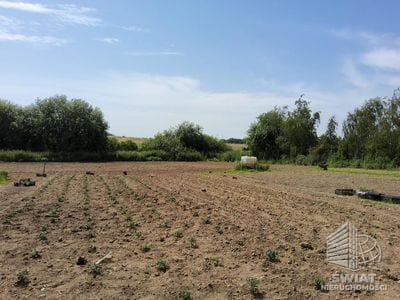 Działka na sprzedaż, Kołbaskowo Barnisław, 3000 m² — GAN21850, zdjęcie 2