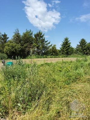 Działka na sprzedaż, Kołbaskowo Barnisław, 3000 m² — GAN21850, zdjęcie 3