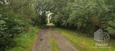 Działka na sprzedaż, Kołbaskowo Barnisław, 2438 m² — LIB20007, zdjęcie 6