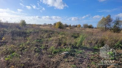 Działka na sprzedaż, Kołbaskowo Bobolin, 3000 m² — PAT21311, zdjęcie 5