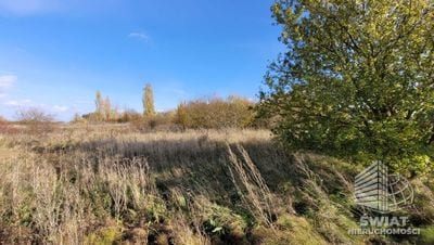 Działka na sprzedaż, Kołbaskowo Bobolin, 3000 m² — PAT21311, zdjęcie 6
