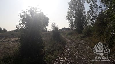 Działka na sprzedaż, Kołbaskowo, 25244 m² — FKT25003, zdjęcie 2