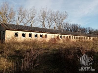 Działka na sprzedaż, Kołbaskowo Kamieniec, 3296 m² — SWN30712, zdjęcie 3