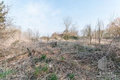 Działka na sprzedaż, Kołbaskowo Karwowo, 2326 m² — CIE24763, zdjęcie 4