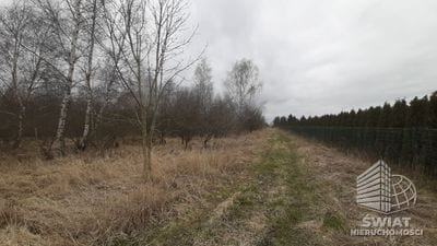 Działka na sprzedaż, Kołbaskowo Karwowo, 3000 m² — PAT21047, zdjęcie 1