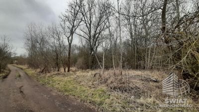 Działka na sprzedaż, Kołbaskowo Karwowo, 3000 m² — PAT21047, zdjęcie 5