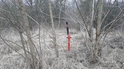 Działka na sprzedaż, Kołbaskowo Karwowo, 3000 m² — PAT21047, zdjęcie 6