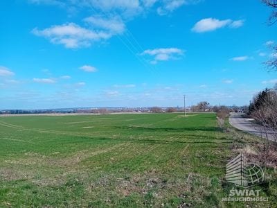 Działka na sprzedaż, Kołbaskowo Karwowo, 5000 m² — ROY03922, zdjęcie 2