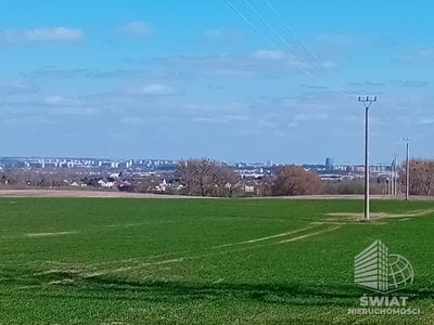 Działka na sprzedaż, Kołbaskowo Karwowo, 5000 m² — ROY03922, zdjęcie 3