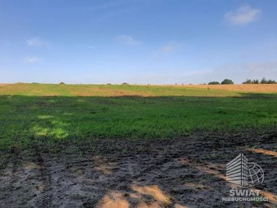 Działka na sprzedaż, Kołbaskowo Kurów, 20200 m² — FKT24785, zdjęcie 1