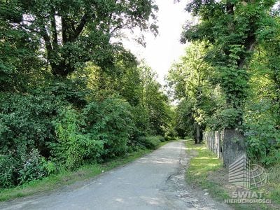 Działka na sprzedaż, Kołbaskowo Kurów, 20200 m² — FKT24785, zdjęcie 2