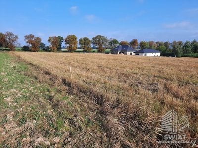Działka na sprzedaż, Kołbaskowo Kurów, 20200 m² — FKT24785, zdjęcie 6