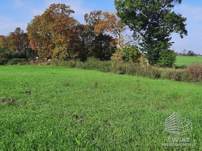 Działka na sprzedaż, Kołbaskowo Kurów, 27988 m² — FKT25196, zdjęcie 5